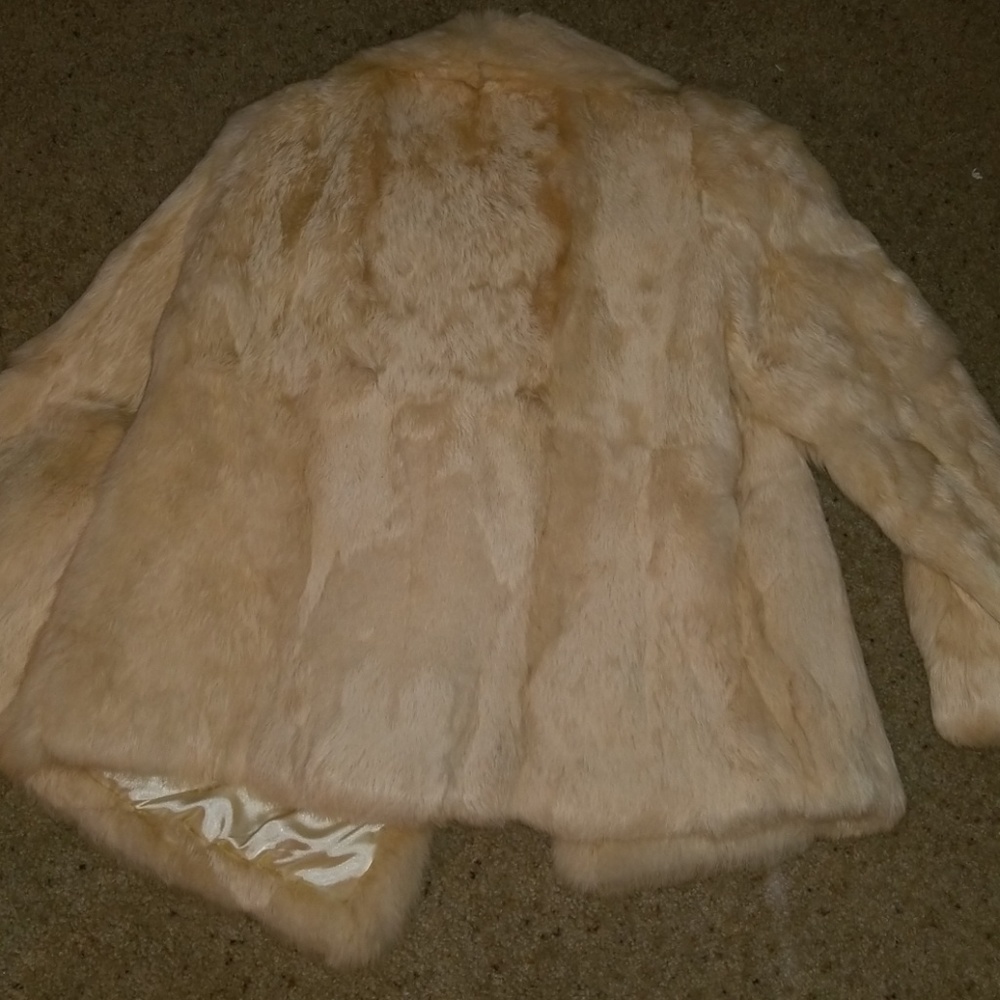 Rabbit Fur - image 3